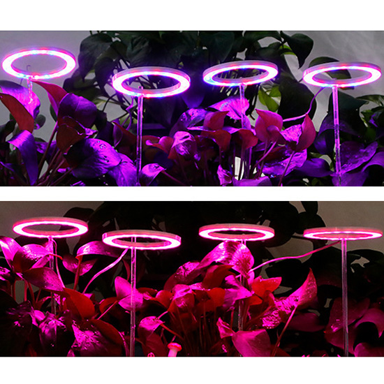 Adjustable Red Blue Or Pink Purple Angel Ring USB LED Grow Light